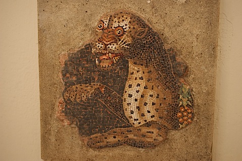 IMGP1807.jpg