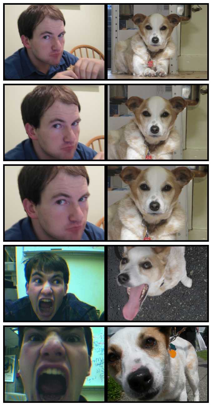 Ryan versus Lady the dog, as a webcomic