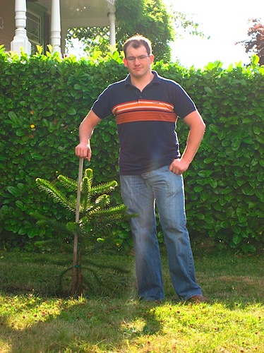 Ryan standing beside his new monkey-puzzle tree